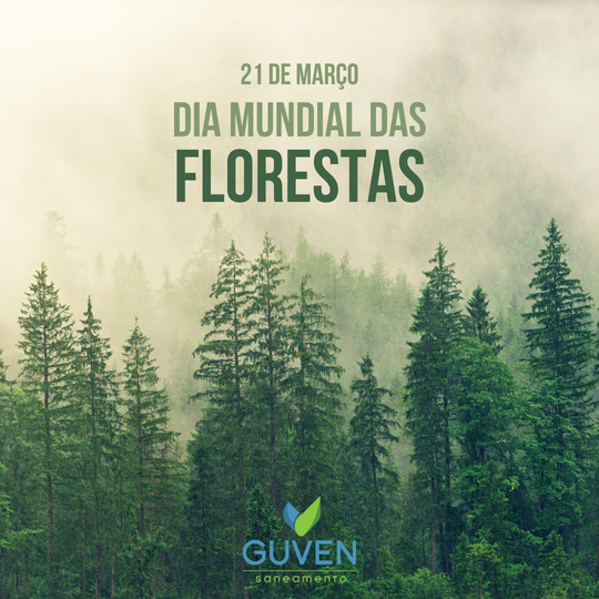 21 de Março - Dia Mundial das Florestas