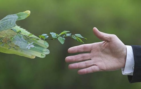 SISTEMA DE TRATAMENTO POR OZONIZAÇÃO SISTEMA DE TRATAMENTO POR OZONIZAÇÃO