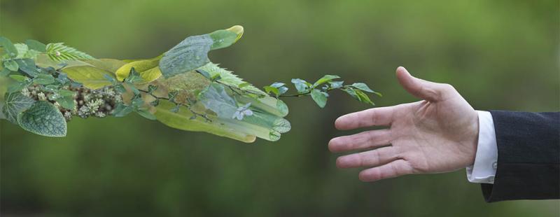 Empresa Especializada em Licenciamento Ambiental