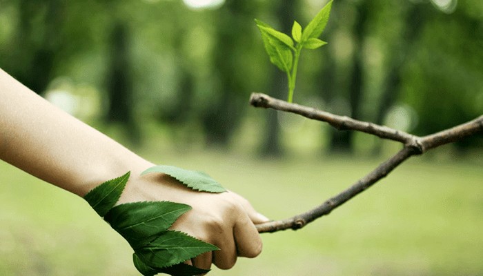 Orçamento Licenciamento Ambiental